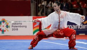 Keindahan Wushu Sebagai Olahraga Yang Menarik Perhatian