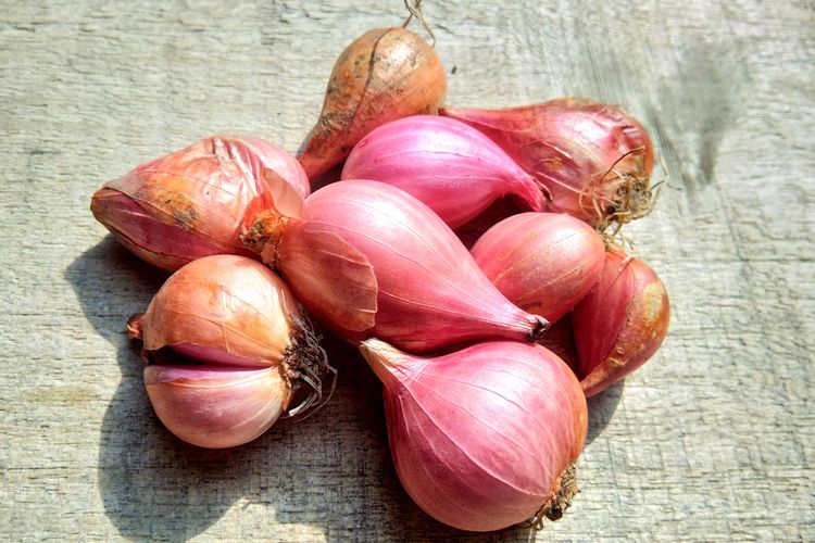 Bibit Bawang Merah Terbaik Yang Patut Di Jadikan Pilihan