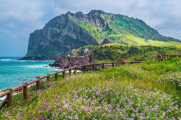 Wisata Pulau Jeju Yang Di Sebut Hawaii-nya Korea