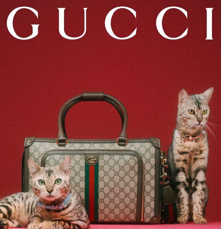 Ketahui Sejarah Gucci Sebagai Merk Ternama