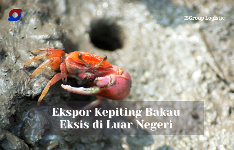 Bisnis kepiting