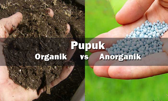 Pupuk Organik