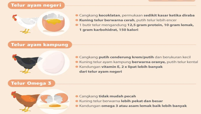 Jenis – Jenis Telur Yang Baik Untuk Di Konsumsi Sehari - Hari