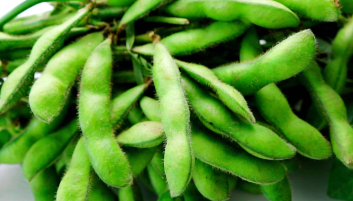 Edamame Sebuah Kedelai Muda Dengan Sejarah Panjangnya