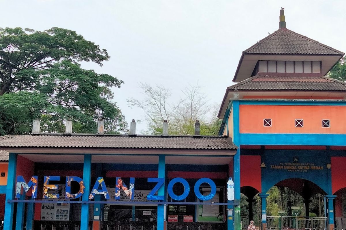 Kondisi Memprihatinkan Medan Zoo Karena Krisis Keuangan