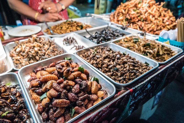 Rekomendasi Kuliner Yang Harus Di Coba Ketika Di Thailand