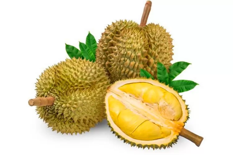 Keunikan Buah Durian Terletak Pada Rasa Dan Aromanya