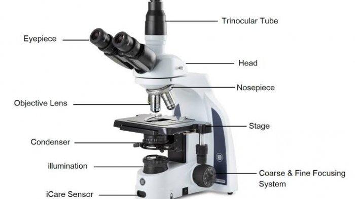 Sebuah Alat Optik Dalam Memperbesar Benda Di Sebut Mikroskop
