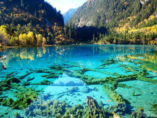 Crystalline Turquoise Lake