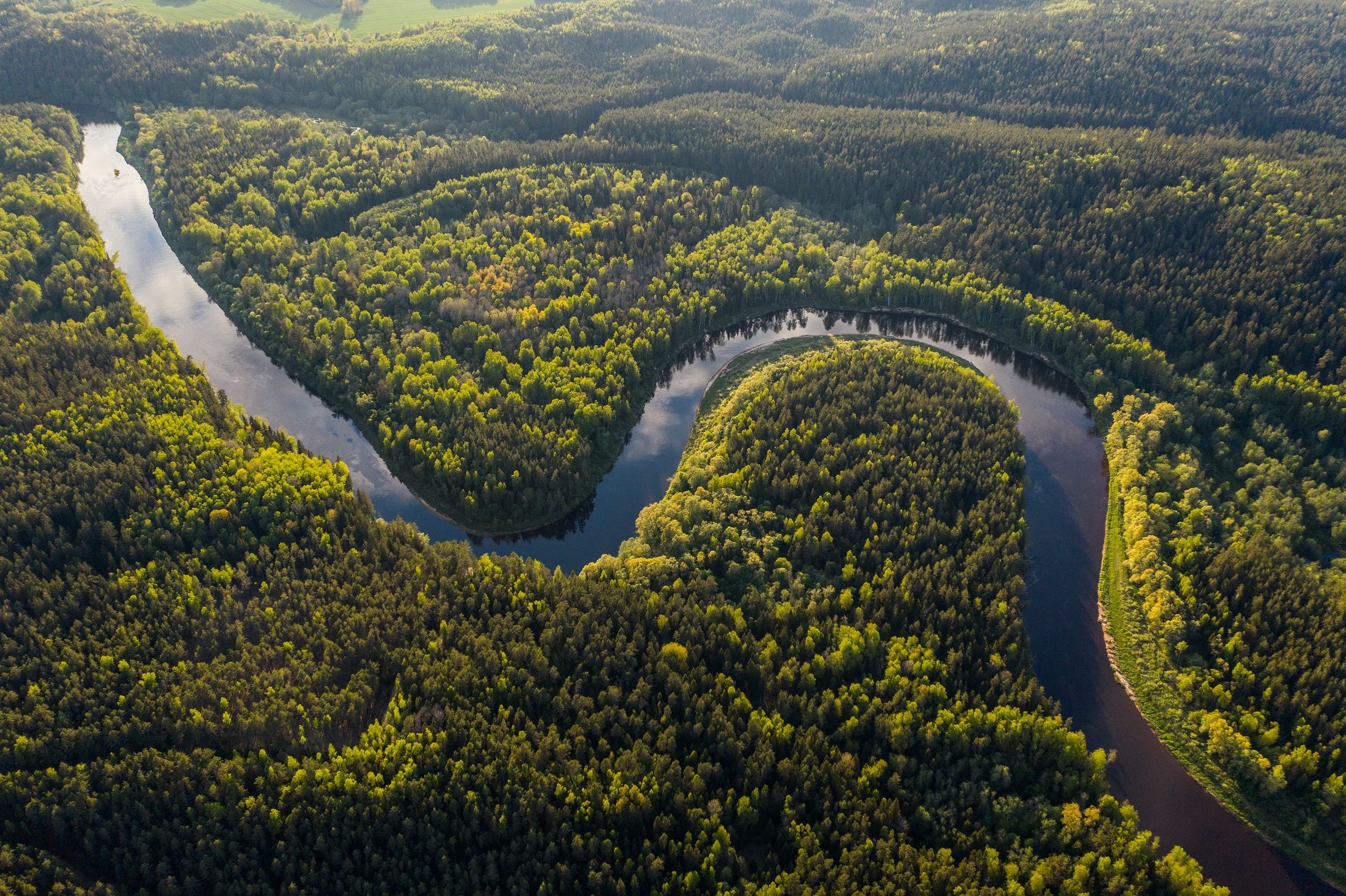 Sungai Amazon