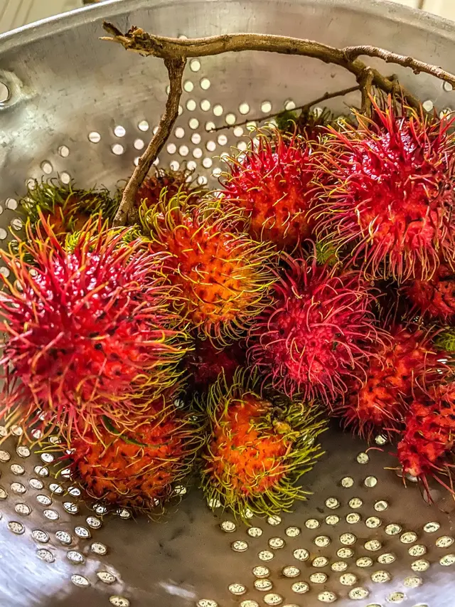 Wilayah Binjai Yang Terkenal Dengan Rambutan Unggulnya