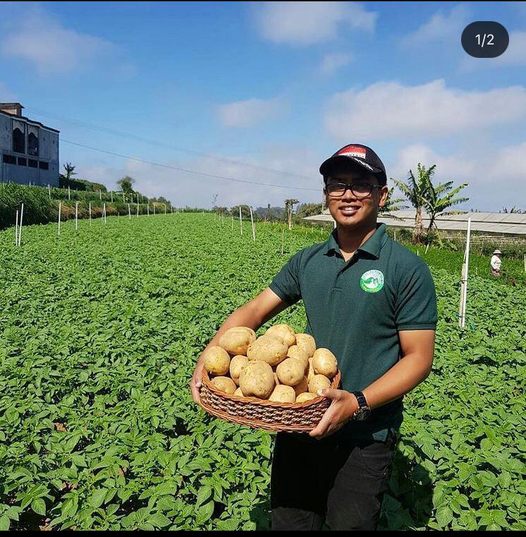 Petani Kentang Salah Satu Profesi Yang Sangat Bercuan Untukmu