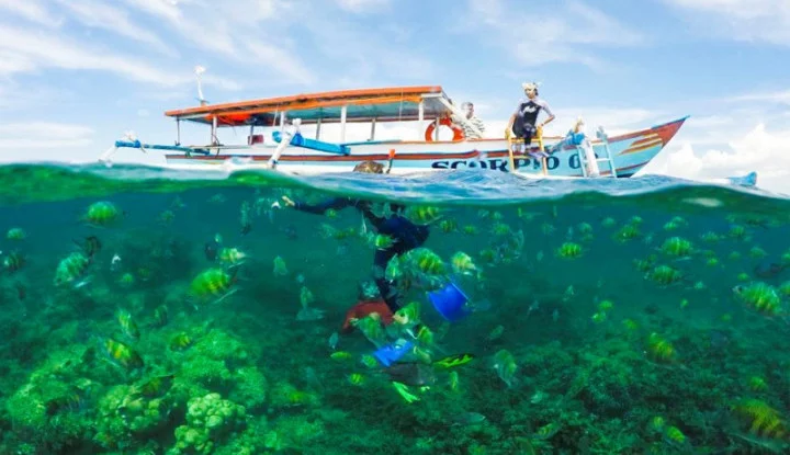 Menjelajah Kota Lombok Yang Romantis Di Hari Kasih Sayang