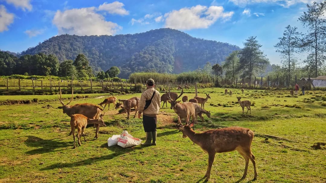 Liburan Ke Bandung