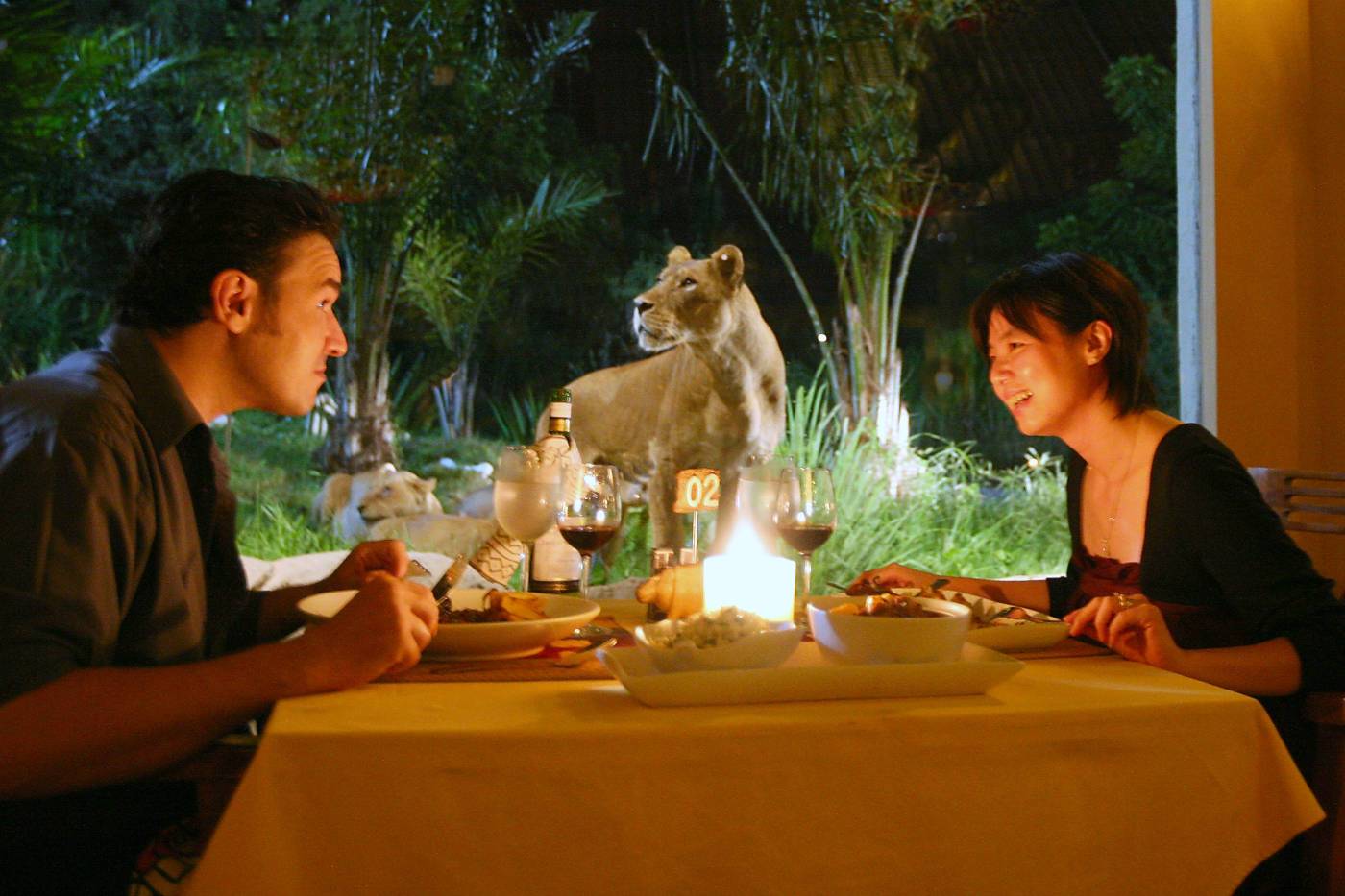 Rasakan Sensasi Dinner Seru Di Bali Night Safari Park