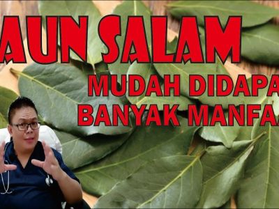 Khasiat Daun Salam