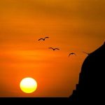 Puasa Nisfu Syaban, Begini Niatnya, Bacaan Arab Dan Artinya