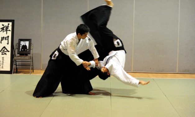 Olahraga Aikido Seni Beladiri Asal Jepang Yang Indah Dan Kuat