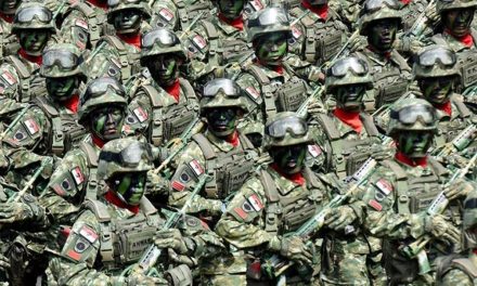 Peran Militer dalam Keamanan dan Stabilitas Global