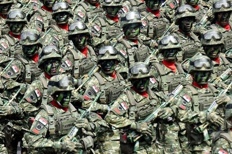 Peran Militer