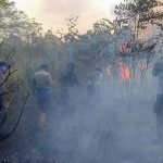 Asap Karhutla Belum Reda, Pemkot Berlakukan Belajar Daring