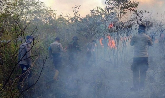 Asap Karhutla Belum Reda, Pemkot Berlakukan Belajar Daring