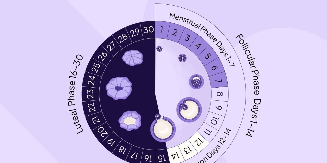 Siklus Menstruasi Yang Terganggu Harus Di Tangani Segera