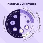 Siklus Menstruasi Yang Terganggu Harus Di Tangani Segera