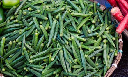 Okra Tumbuhan Serbaguna Yang Kaya Manfaat Bagi Tubuh