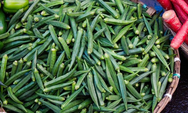 Okra Tumbuhan Serbaguna Yang Kaya Manfaat Bagi Tubuh